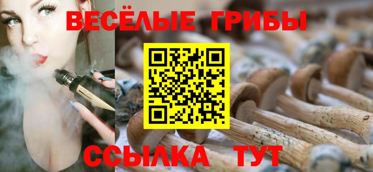 Галлюциногенные грибы Psilocybe  Вход с VPN  Грязи 